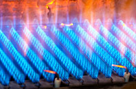 Gomeldon gas fired boilers